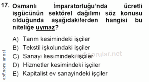 17. soru: Osmanlı Imparatorluğu'nda ücretli işgücünün sektörel dağılımı söz konusu olduğunda aşağıdakilerden hangisi bu niteliğ…