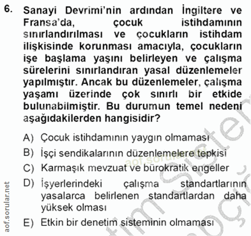 6. soru: Sanayi Devrimi'nin ardından ingiltere ve Fransa'da, çocuk istıhdamının sınırlandırılması ve çocukların istihdam ilişk…