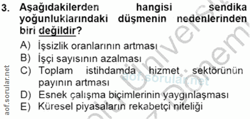 3. soru: Aşağıdakilerden hangisi sendika yoğunluklarındaki düşmenin nedenlerinden biri değildir? A) İşsizlik oranlarının artma…