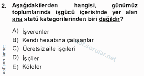 2. soru: Aşağıdakilerden hangisi, günümüz toplumlarında işgücü içerisinde yer alan ana statü kategorilerinden biri değildir? A…