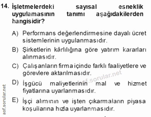 14. soru: İşletmelerdeki sayısal esneklik uygulamasının tanımı aşağıdakilerden hangisidir? A) Performans değerlendirmesine daya…