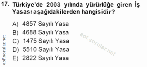 17. soru: Türkiye'de 2003 yılında yürürlüğe giren iş Yasası aşağıdakilerden hangisidir? A) 4857 Sayılı Yasa B) 4688 Sayılı Yasa…