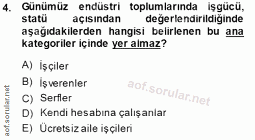 4. soru: Günümüz endüstri toplumlarında işgücü, statü açısından değerlendirildiğinde aşağıdakilerden hangisi belirlenen bu ana…