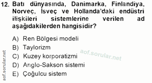 12. soru: Batı dünyasında, Danimarka, Finlandiya, Norveç, Isveç ve Hollanda'daki endüstri ilişkileri sistemlerine verilen ad aş…