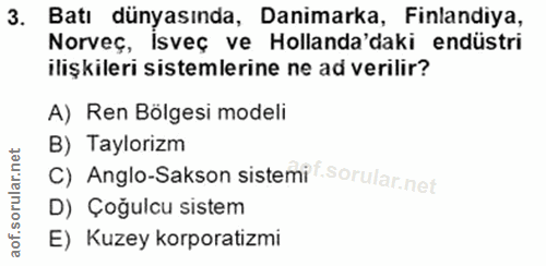 3. soru: Batı dünyasında, Danimarka, Finlandiya, Norveç, Isveç ve Hollanda'daki endüstri ilişkileri sistemlerine ne ad verilir…