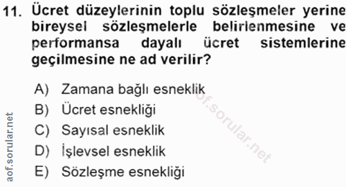 11. soru: Ücret düzeylerinin toplu sözleşmeler yerine bireysel sözleşmelerle belirienmesine ve pertormansa dayalı ücret sisteml…