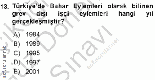 13. soru: Türkiye'de Bahar Eylemleri olarak bilinen grev dışı işçi eylemleri hangi yıl gerçekleşmiştir? A) 1984 B) 1989 C) 1995…