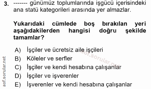 3. soru: ----- günümüz toplumlarında işgücü içerisindeki ana statü kategorileri arasında yer almazlar. Yukarıdaki cümlede boş…