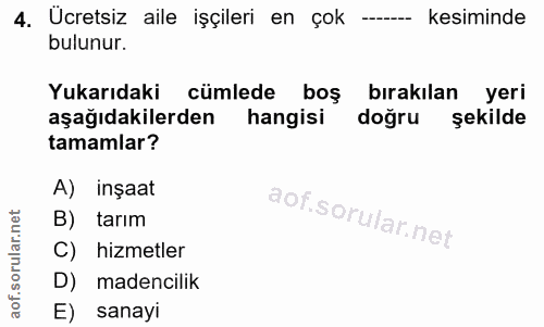 4. soru: Ücretsiz aile işçileri en çok —... kesiminde bulunur. Yukarıdaki cümlede boş bırakılan yeri aşağıdakilerden hangisi d…