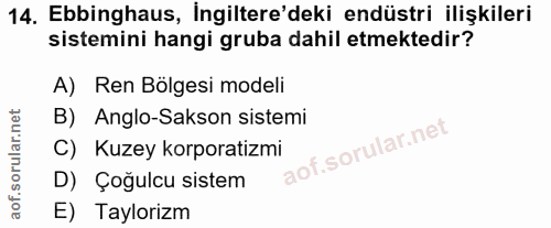 14. soru: Ebbinghaus, İngiltere'deki endüstri ilişkileri sistemini hangi gruba dahil etmektedir? A) Ren Bölgesi modeli B) Anglo…