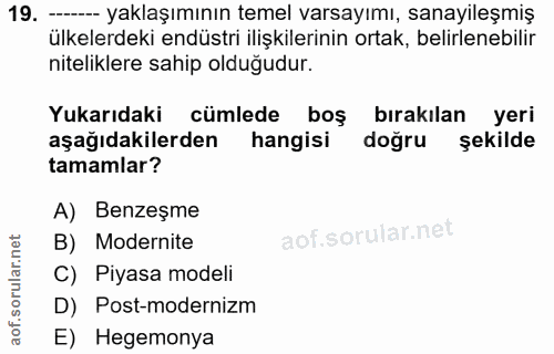 19. soru: --- yaklaşımının temel varsayımı, sanayileşmiş ülkelerdeki endüstri ilişkilerinin ortak, belirlenebilir niteliklere s…