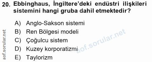 20. soru: Ebbinghaus, İngiltere'deki endüstri ilişkileri sistemini hangi gruba dahil etmektedir? A) Anglo-Sakson sistemi B) Ren…