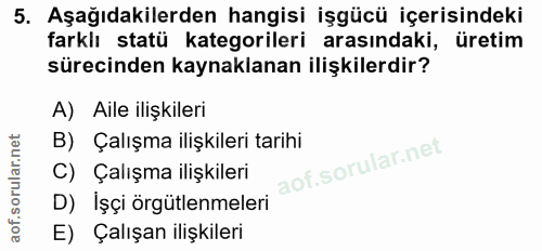 5. soru: Aşağıdakilerden hangisi işgücü içerisindeki farklı statü kategorileri arasındaki, üretim sürecinden kaynaklanan ilişk…