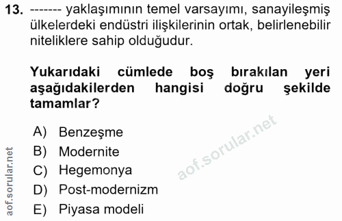 13. soru: — yaklaşımının temel varsayımı, sanayileşmiş ülkelerdeki endüstri ilişkilerinin ortak, belirlenebilir niteliklere sah…