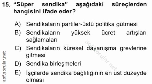 15. soru: "Süper sendika" aşağıdaki süreçlerden hangisini ifade eder? A) Sendikaların partiler-üstü politika gütmesi B) Sendika…