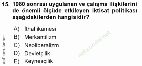 15. soru: 1980 sonrası uygulanan ve çalışma ilişkilerini de önemli ölçüde etkileyen iktisat politikası aşağıdakilerden hangisid…