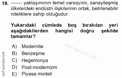 19. soru: --- yaklaşımının temel varsayımı, sanayileşmiş ülkelerdeki endüstri ilişkilerinin ortak, belirlenebilir niteliklere s…