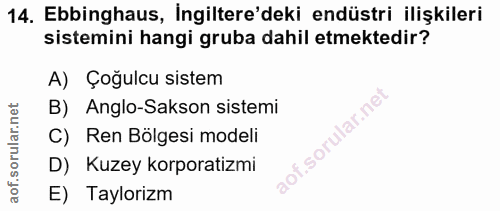 14. soru: Ebbinghaus, İngiltere'deki endüstri ilişkileri sistemini hangi gruba dahil etmektedir? A) Çoğulcu sistem B) Anglo-Sak…