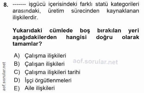 8. soru: - işgücü içerisindeki farklı statü kategorileri arasındaki, üretim sürecinden kaynaklanan ilişkilerdir. Yukarıdaki cü…