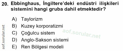 20. soru: Ebbinghaus, İngiltere'deki endüstri ilişkileri sistemini hangi gruba dahil etmektedir? A) Taylorizm B) Kuzey korporat…