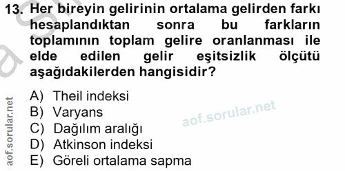 13. soru: Her bireyin gelirinin ortalama gelirden farkı hesaplandıktan sonra bu farkların toplamının toplam gelire oranlaması i…