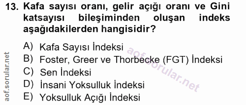 13. soru: Kafa sayısı oranı, gelir açığı oranı ve Gini katsayısı bileşiminden oluşan indeks aşağıdakilerden hangisidir? A) Kafa…