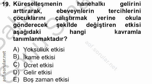 19. soru: Küreselleşmenin hanehalkı gelirini arttirarak, ebeveynlerin tercihlerini çocuklarınıR çalıştırmak yerine okula gönder…