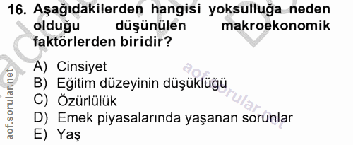 16. soru: Aşağıdakilerden hangisi yoksulluğa neden olduğu düşünülen makroekonomik faktörlerden biridir? A) Cinsiyet B) Eğitim d…