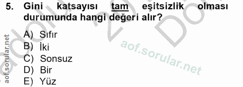 5. soru: Gini katsayısı tam eşitsizlik olması durumunda hangi değeri alır? A) Sıfır B) İki C) Sonsuz D) Bir E) Yüz