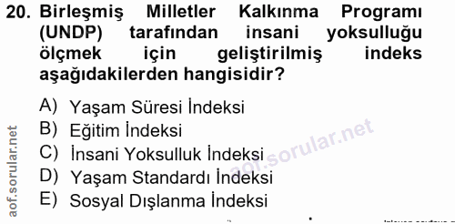 20. soru: Birleşmiş Milletler Kalkınma Programı (UNDP) tarafından insani yoksulluğu ölçmek için geliştirilmiş indeks aşağıdakil…