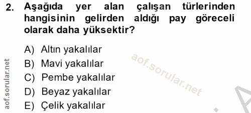 2. soru: Aşağıda yer alan çalışan türlerinden hangisinin gelirden aldığı pay göreceli olarak daha yüksektir? A) Altın yakalıla…
