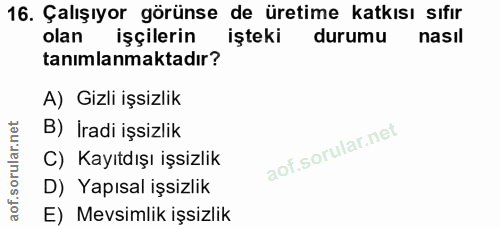 16. soru: Çalışıyor görünse de üretime katkısı sıfır olan işçilerin işteki durumu nasıl tanımlanmaktadır? A) Gizli işsizlik B)…