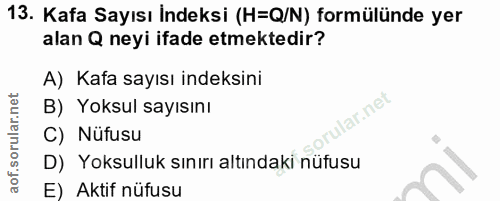 13. soru: Kafa Sayısı İndeksi (H=Q/N) formülünde yer alan Q neyi ifade etmektedir? A) Kafa sayısı indeksini B) Yoksul sayısını…