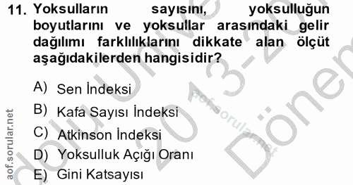11. soru: Yoksulların sayısını, yoksulluğun boyutlarını ve yoksullar arasındaki gelir dağılımı farklılıklarını dikkate alan ölç…