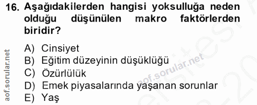 16. soru: Aşağıdakilerden hangisi yoksulluğa neden olduğu düşünülen makro faktörlerden biridir? A) Cinsiyet B) Eğitim düzeyinin…