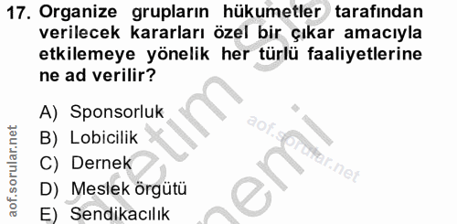 17. soru: Organize grupların hükumetler tarafından verilecek kararları özel bir çıkar amacıyla etkilemeye yönelik her türlü faa…