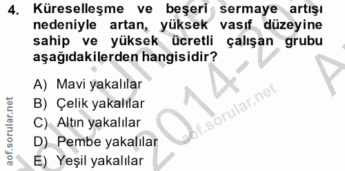 4. soru: Küreselleşme ve beşeri sermaye artışı nedeniyle artan, yüksek vasıf düzeyine sahip ve yüksek ücretli çalışan grubu aş…