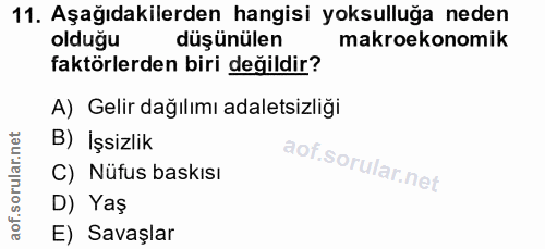 11. soru: Aşağıdakilerden hangisi yoksulluğa neden olduğu düşünülen makroekonomik faktörlerden biri değildir? A) Gelir dağılımı…