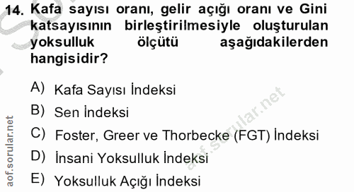 14. soru: Kafa sayısı oranı, gelir açığı oranı ve Gini katsayısının birleştirilmesiyle oluşturulan yoksulluk ölçütü aşağıdakile…
