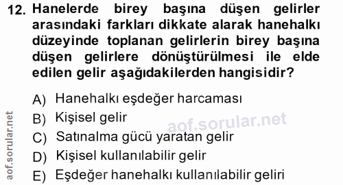 12. soru: Hanelerde birey başına düşen gelirler arasındaki farkları dikkate alarak hanehalkı düzeyinde toplanan gelirlerin bire…