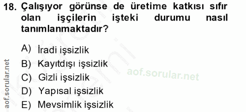 18. soru: Çalışıyor görünse de üretime katkısı sıfır olan işçilerin işteki durumu nasıl tanımlanmaktadır? A) İradi işsizlik B)…