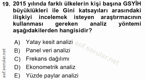 19. soru: 2015 yılında farklı ülkelerin kişi başına GSYİH büyüklükleri ile Gini katsayıları arasındaki ilişkiyi incelemek istey…
