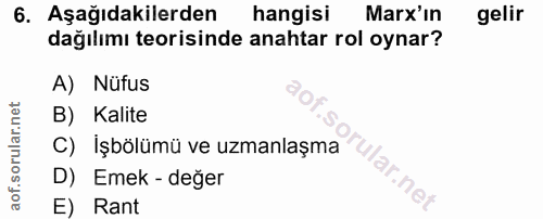 6. soru: Aşağıdakilerden hangisi Marx'ın gelir dağılımı teorisinde anahtar rol oynar? A) Nüfus B) Kalite C) Işbölümü ve uzmanl…