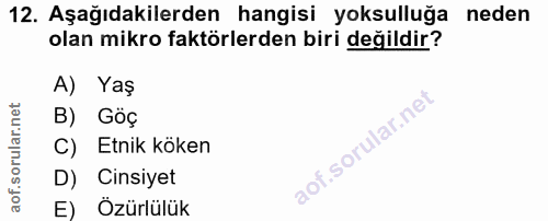 12. soru: Aşağıdakilerden hangisi yoksulluğa neden olan mikro faktörlerden biri değildir? A) Yaş B) Göç C) Etnik köken D) Cinsi…