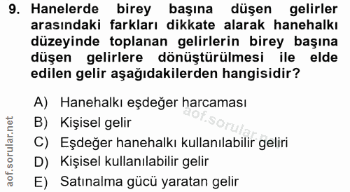 9. soru: Hanelerde birey başına düşen gelirler arasındaki farkları dikkate alarak hanehalkı düzeyinde toplanan gelirlerin bire…