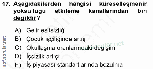 17. soru: Aşağıdakilerden hangisi küreselleşmenin yoksulluğu etkileme kanallarından biri değildir? A) Gelir eşitsizliği B) Çocu…