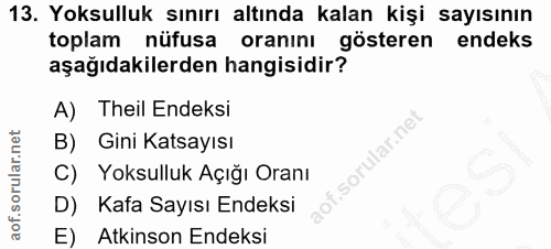 13. soru: Yoksulluk sınırı altında kalan kişi sayısının toplam nüfusa oranını gösteren endeks aşağıdakilerden hangisidir? A) Th…