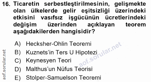 16. soru: Ticaretin serbestleştirilmesinin, gelişmekte olan ülkelerde gelir eşitsizliği üzerindeki etkisini vasıfsız işgücünün…
