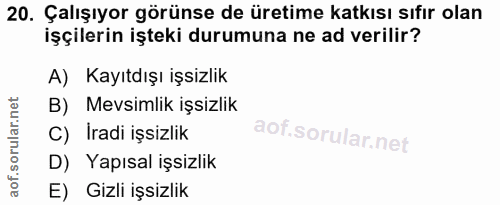 20. soru: Çalışıyor görünse de üretime katkısı sıfır olan işçilerin işteki durumuna ne ad verilir? A) Kayıtdışı işsizlik B) Mev…