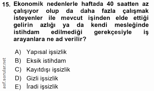 15. soru: Ekonomik nedenlerle haftada 40 saatten az çalışıyor olup da daha fazla çalışmak isteyenler ile mevcut işinden elde et…